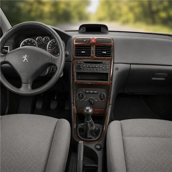 Peugeot 307 2004-2008 3D dashboard sierlijstset, 12 delen