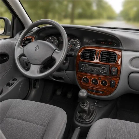 Renault Megane 1999-2003 3D dashboard sierlijstset, 17 delen