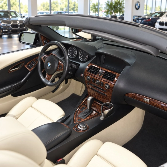 BMW 6-Series E 63 2008-2010 3D Cockpit Dekor Interieurleisten Set 34-teilig