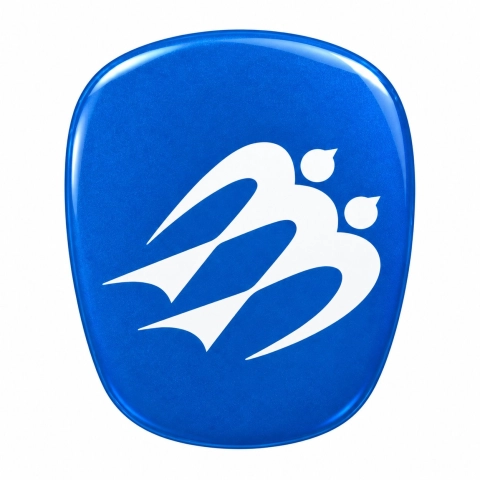 Knaus – selbstklebender Emblem-Einsatz für den Kühlergrill | graue Metallic-Vinylfolie | 64 × 58 mm
