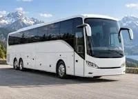 Buses